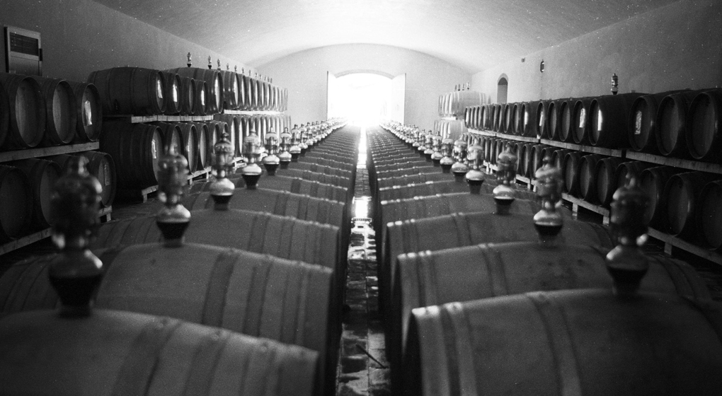 CAMPOMAGGIO VIGNETI STORICI2